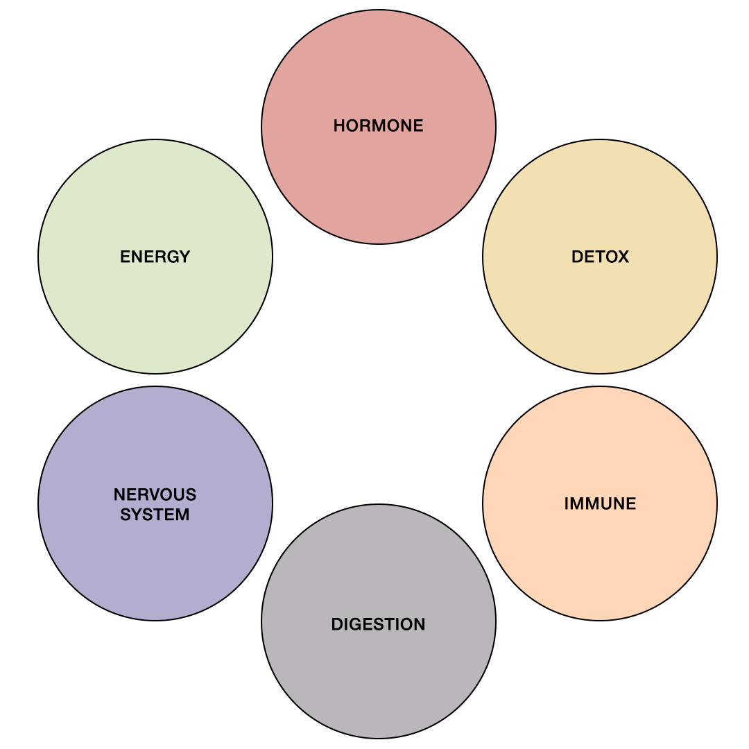 how-to-function-well-holistic-functional-health-coaching